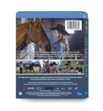 Heartland: Seasons 12-19 Massive Collection (2019-2026) 8-Disc Set Blu-ray - Complete Recent Years - Image 2