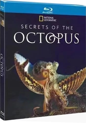secrets-of-the-octopus-blu-ray Secrets of the Octopus (2024) 1-Disc Set Blu-ray - National Geographic - Image 1