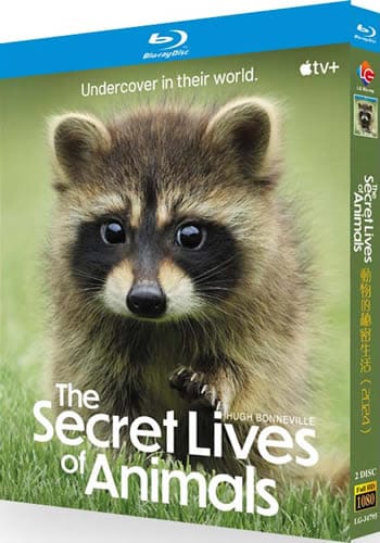 the-secret-lives-of-animals-series-1-blu-ray The Secret Lives of Animals Series 1 (2024) 2-Disc Set Blu-ray - Apple TV+ Nature Documentary - Image 1