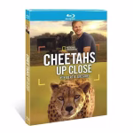 Cheetahs Up Close with Bertie Gregory