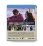 The Summer I Turned Pretty (2022-2025) 3-Disc Set Blu-ray - Romantic Teen Drama - Image 2