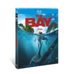 The Bay
